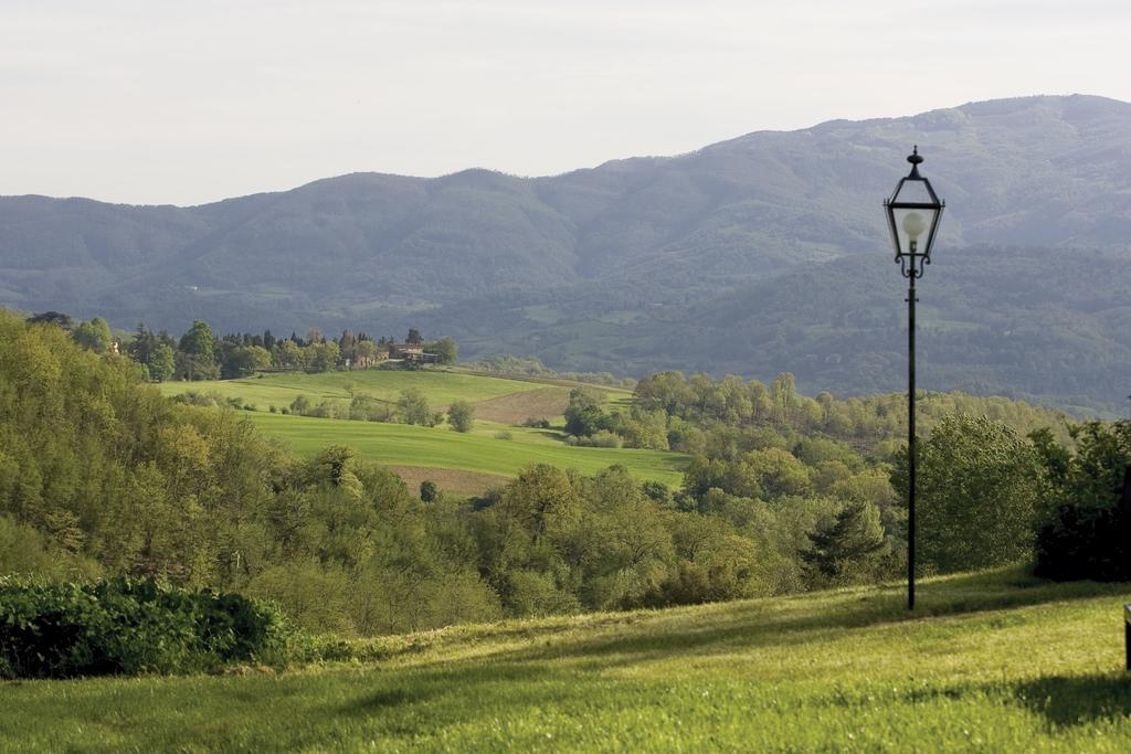 Tenuta Il Cerro Vicchio Room photo